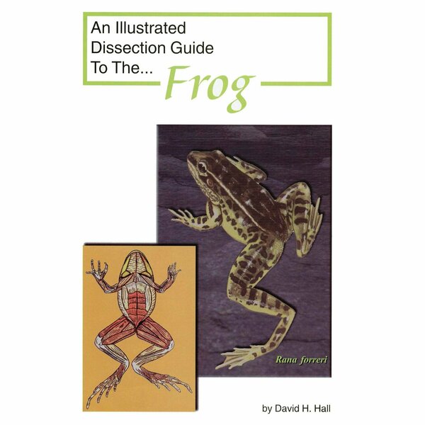 Frey Scientific Mini-Guide to Frog Dissection, Paperback, 16 Pages 420.4104.1